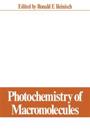 Photochemistry of Macromolecules