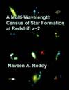 A Multi-Wavelength Census of Star Formation at Redshift z 2