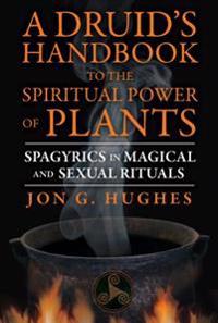A Druid's Handbook to the Spiritual Power of Plants