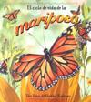 El Ciclo De Vida De La Mariposa/Life cycle of a butterfly