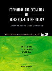Formation and Evolution of Black Holes in the Galaxy