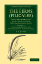 The Ferns (Filicales): Volume 2, The Eusporangiatae and Other Relatively Primitive Ferns
