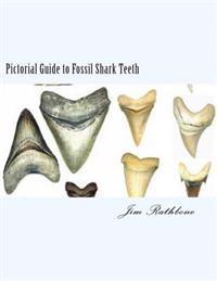 Pictorial Guide to Fossil Shark Teeth: Shark Teeth from Around the World