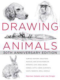Drawing Animals