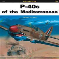 P-40s of the Mediterranean