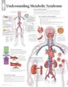 Understanding Metabolic Syndrome Paper Poster