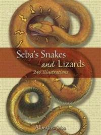 Seba's Snakes And Lizards