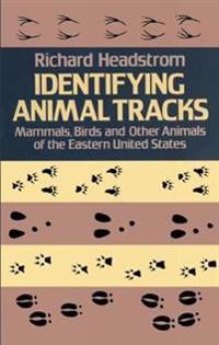 Identifying Animal Tracks