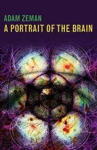A Portrait of the Brain
